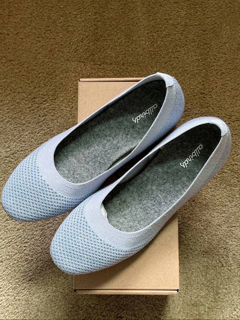 Allbirds Tree Breezer Shoes
